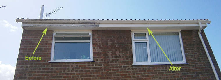 Gutter Cleaning & Fascia Cleaning