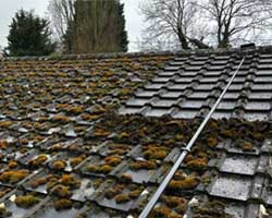 Roof Cleaning in Wells Next The Sea